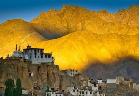 Ladakh Delight