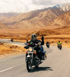 Untitled design (53)