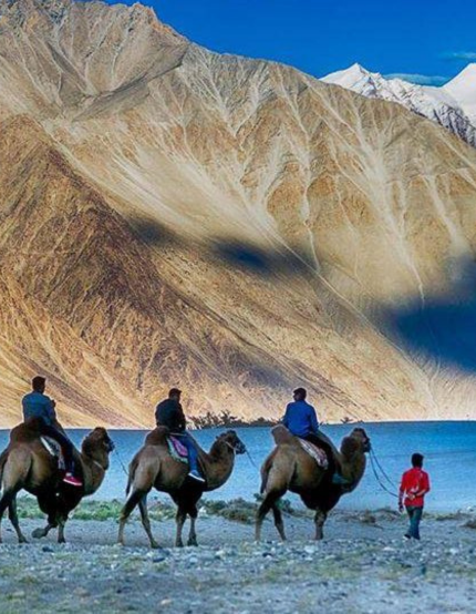 Untitled design (54)