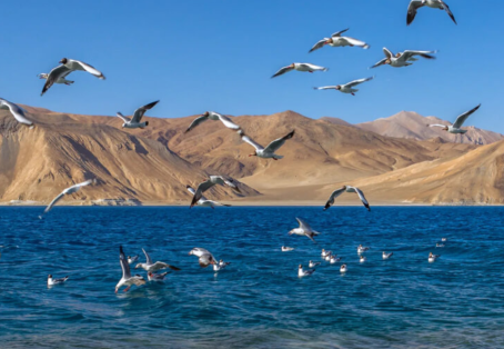 Himalayan Winter Wildlife & Snow Leopard Safari – Ladakh