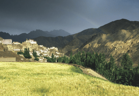 Panoramic Ladakh